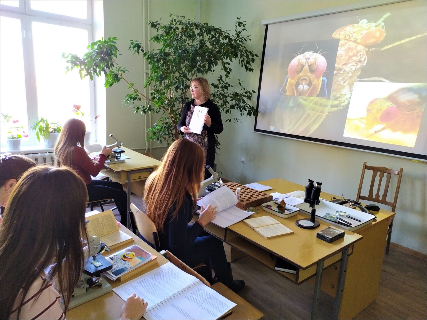 Заняття в навчально-науковій лабораторії № 319 з генетики та основ селекції. Викладач – к.б.н., доцент Торяник Валентина Миколаївна Image