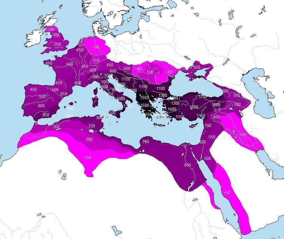 Roma Empire b7ff0